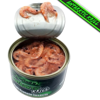 Antaktický Krill